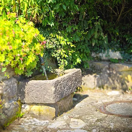 펜션 Casa-philipp, Mediterrane, Lichtdurchflutete, Stilvolle Ruhe-oase, Ebenerdig, Mit Garten, Terrasse, Grill Und Sauna Im Naturparadies Fraenkische Schweiz Unterleinleiter